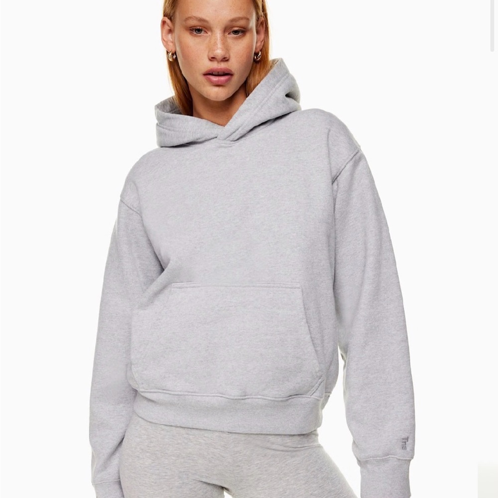 Aritzia TNA Extra Fleece Perfect Hoodie - Small Gray